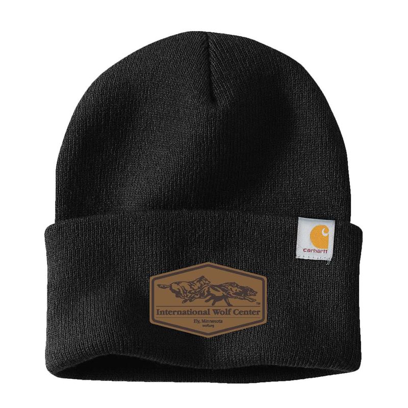 Logo Carhartt Beanie