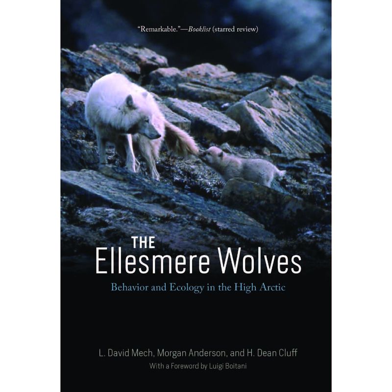 The Ellesmere Wolves