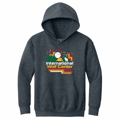 Tent Scene Youth Hoodie