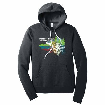Colorful Compass Hoodie