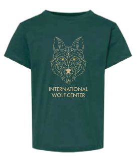Youth Apparel