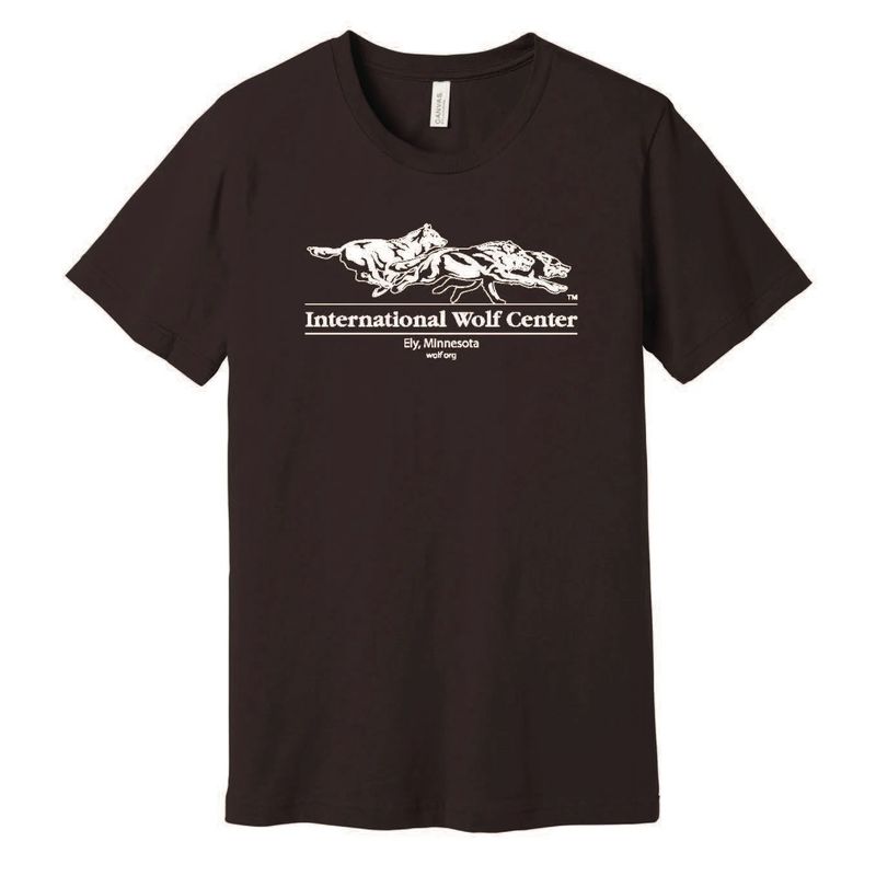 Logo Tee Brown