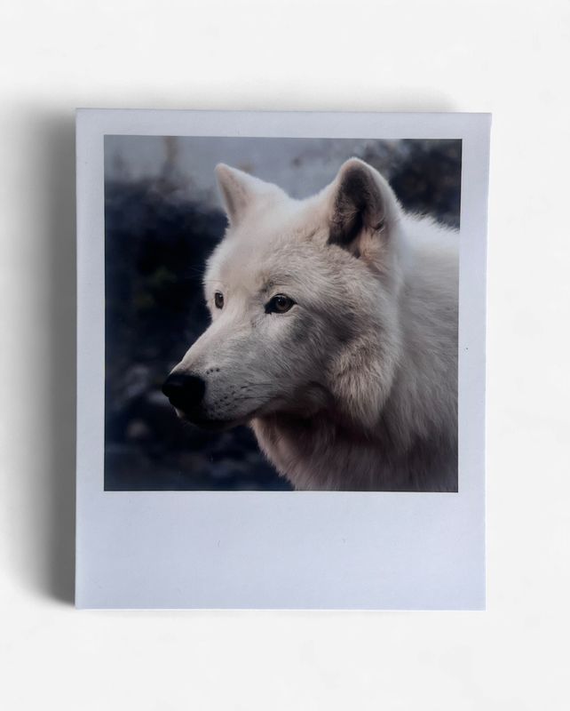 InstaPrint - Grayson Benevolent Leader