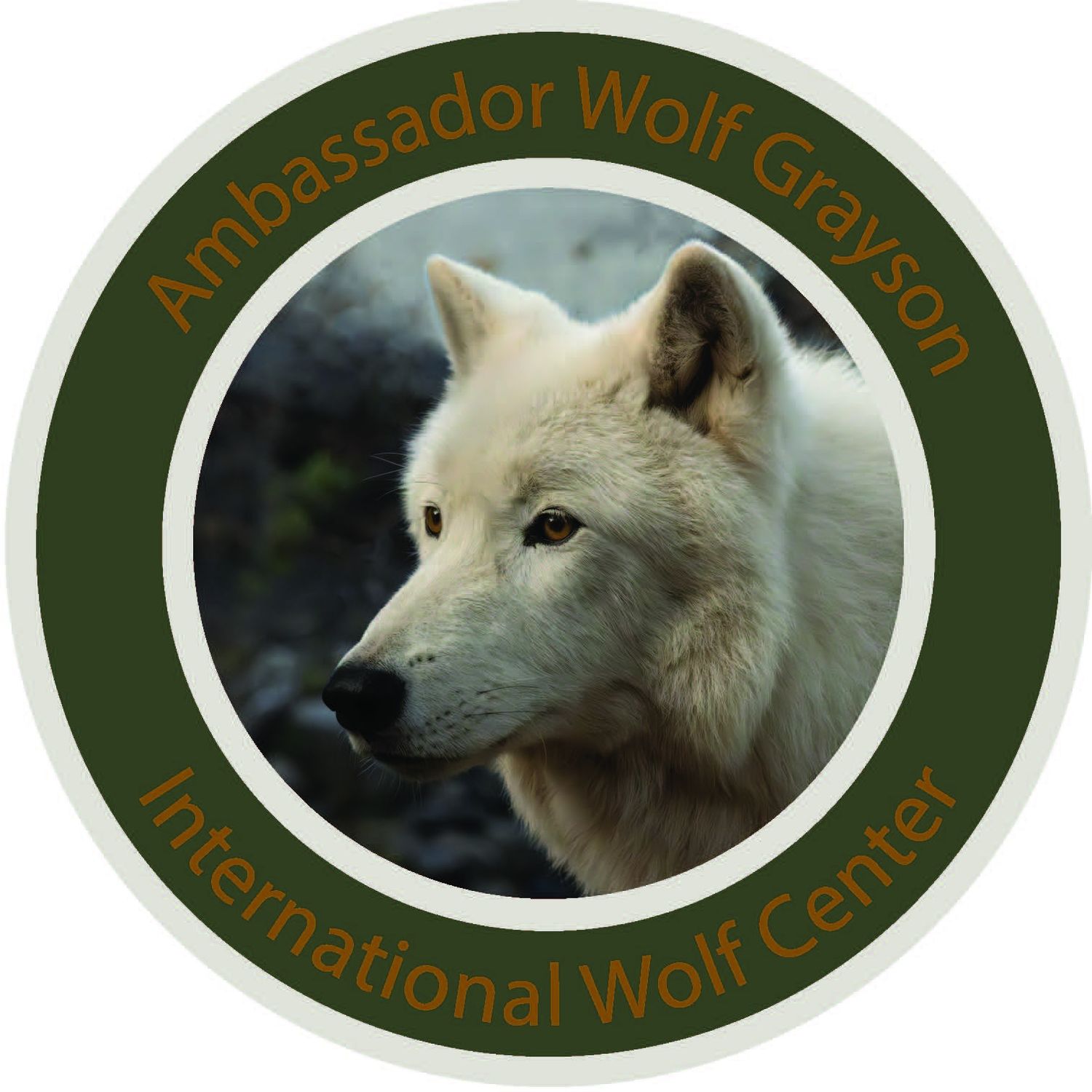 Ambassador Decal, Wolf: Grayson