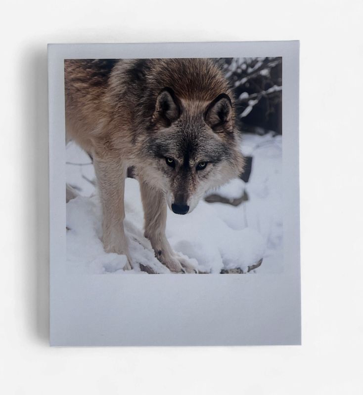 InstaPrint - Rieka Connection