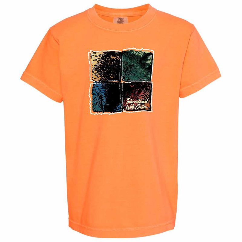 Four Squares Comfort Colors SS Tee