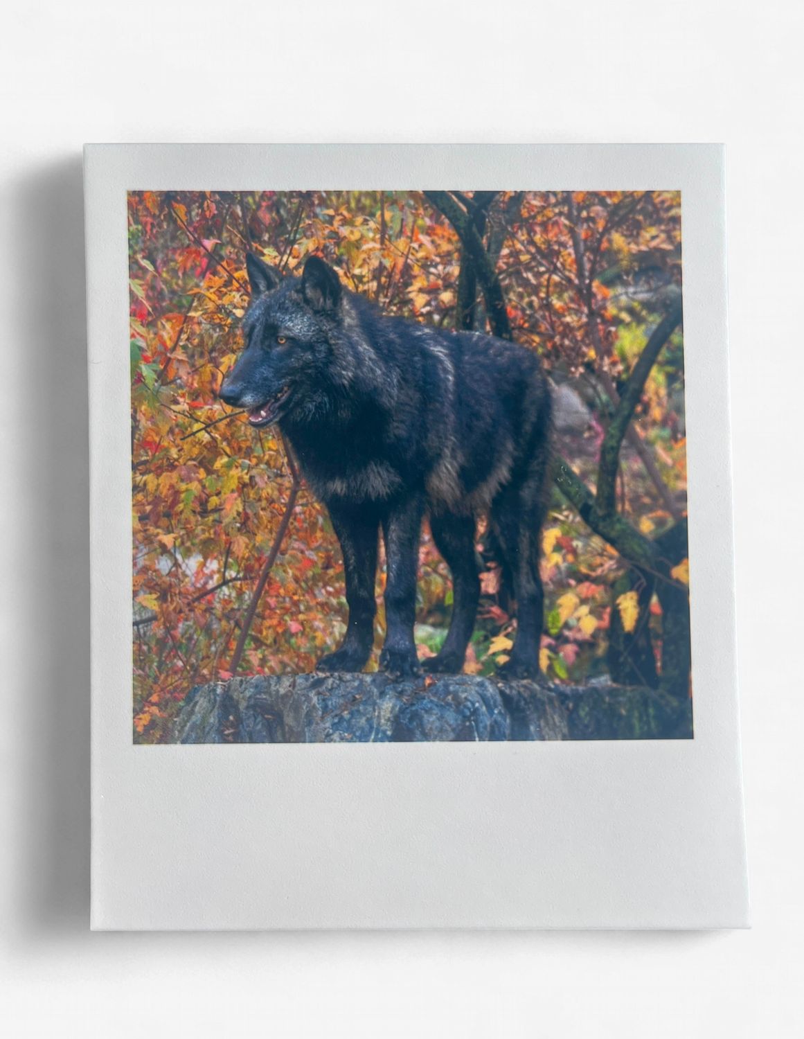 InstaPrint Rowan Greet Rock Stand