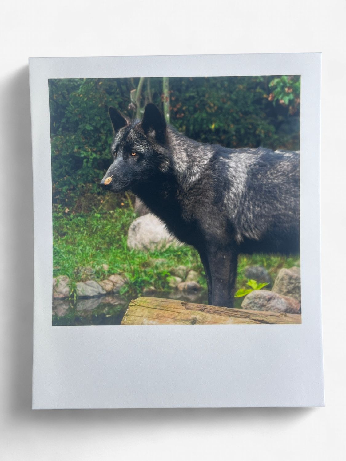 InstaPrint Cedar Leaf on Nose