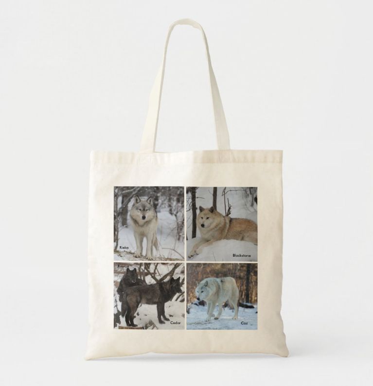 Ambassador Pack Tote Bag
