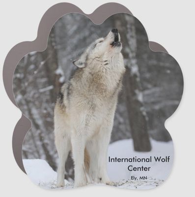 Rieka Howl Magnet