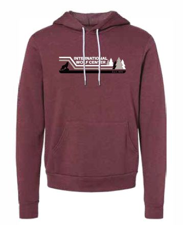 Wolf &amp; Pines Stripe Hoodie