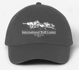 Logo Relaxed Fit Cap - Charcoal