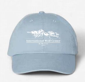 Logo Relaxed Fit Cap - Baby Blue