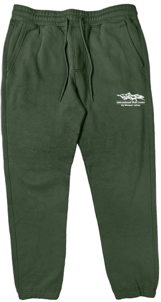 Logo Relaxed Jogger - Green