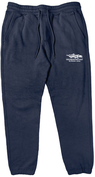 Logo Relaxed Jogger - Navy