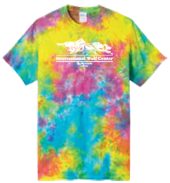 Logo Tee Jeweltone