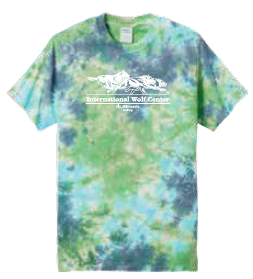Logo Tee Planet Earth, Size: S