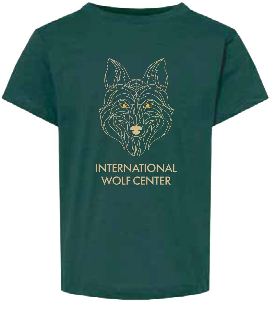 Geometric Youth Tee Forest Green