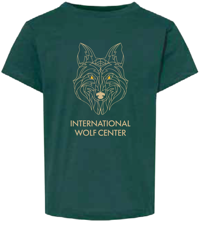 Geometric Youth Tee Forest Green