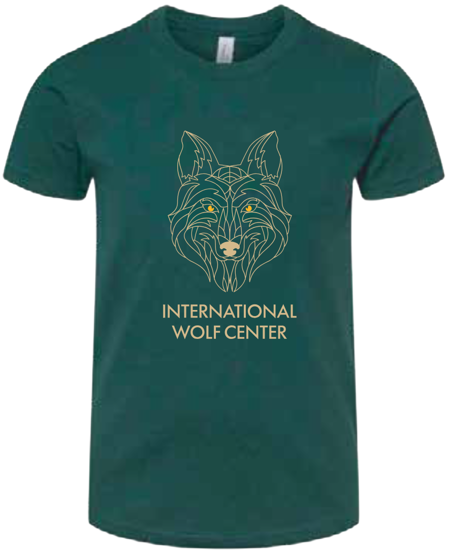 Geometric Tee Forest Green