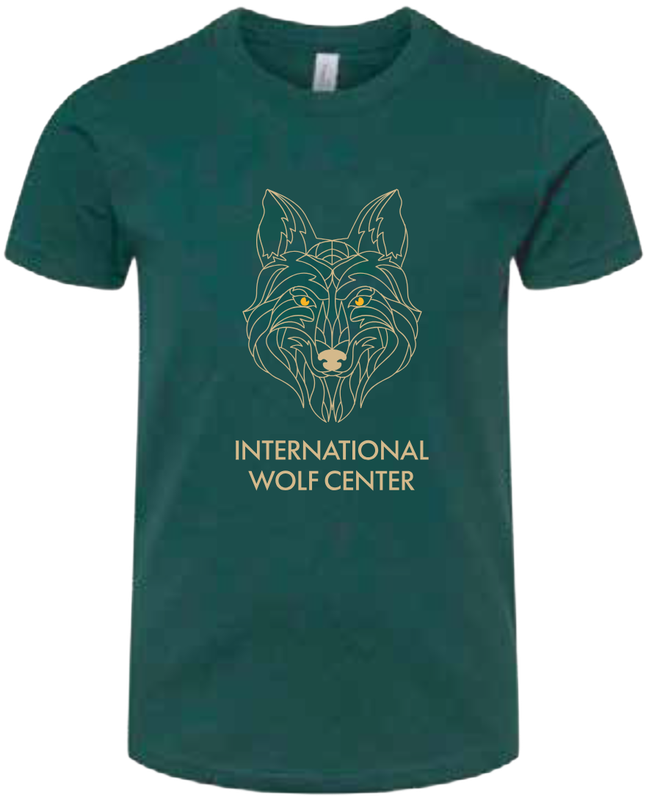 Geometric Tee Forest Green