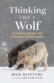 Thinking Like a Wolf  - Paperback