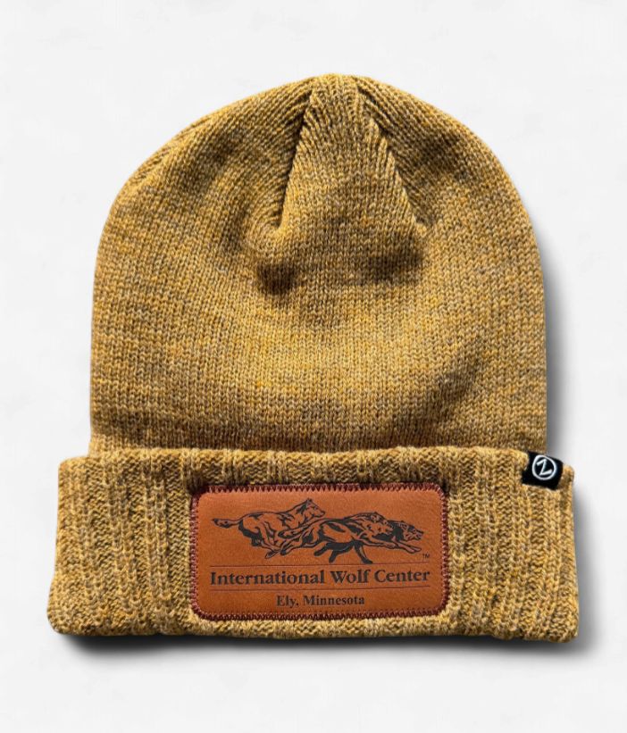 Logo Knit Cuff Beanie - Copper