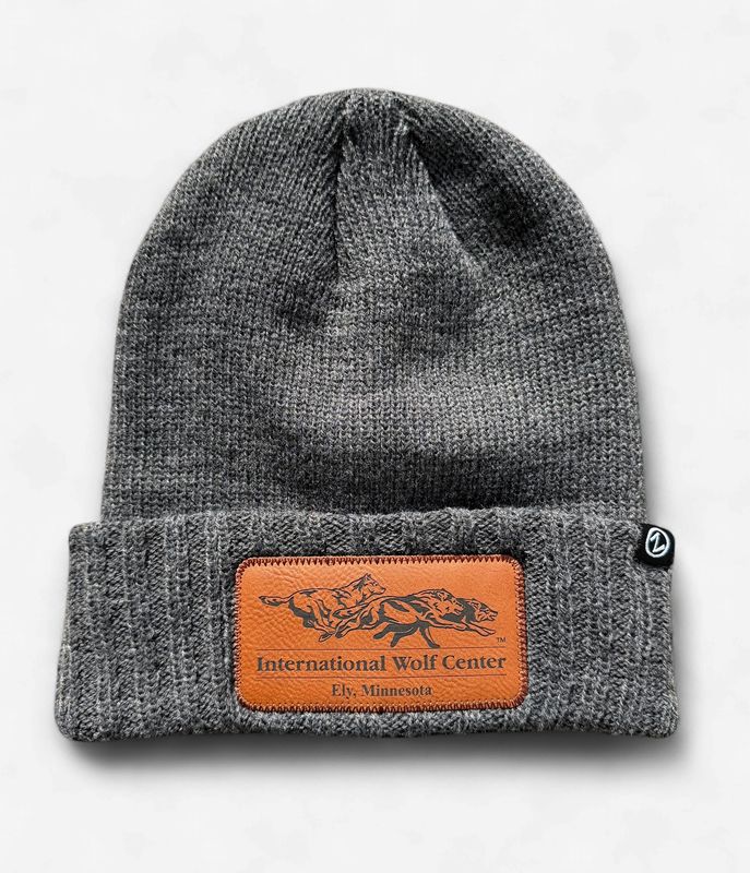 Logo Knit Cuff Beanie - Charcoal