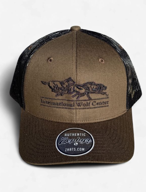 Logo Trucker Cap - Dark Moss