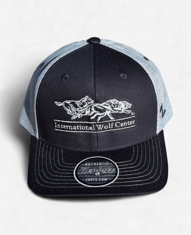 Logo Trucker Cap - Dark Navy