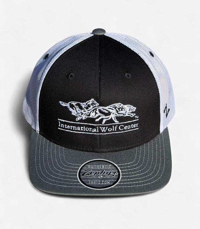 Logo Trucker Cap - Black/Gray