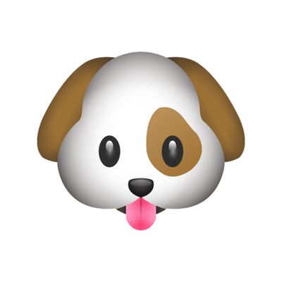 CBD for Dogs