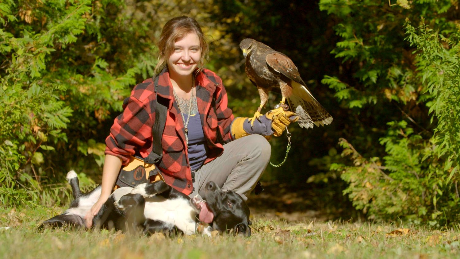 FALCONRY AND THE REALITY OF LIFE WITH BIRDS OF PREY  - Wednesday, June 9, 2027   7:00 pm Royal Canadian Legion Br 129 Haliburton.