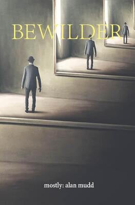 Bewilder - Alan Mudd
