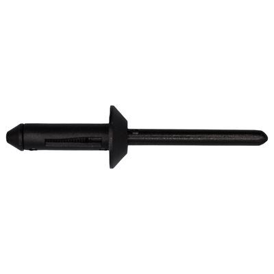 Nylon Expansion Rivet 13/64&quot;