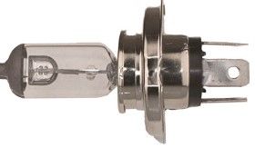 Halogen Bulb