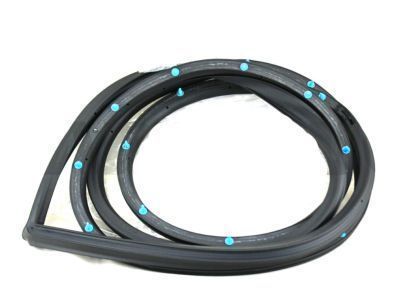67861-60020 Weatherstrip front door, RH