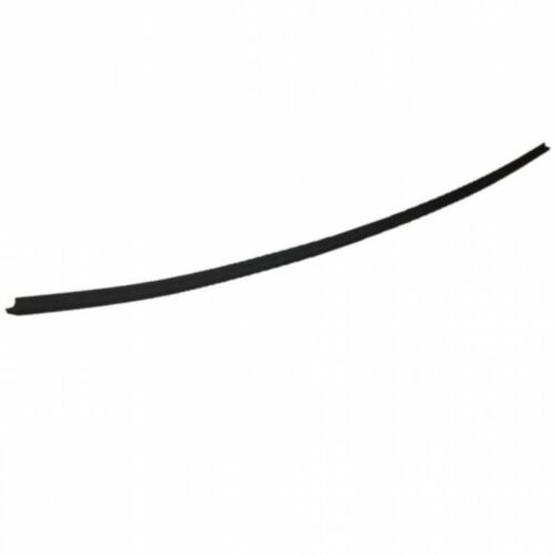 6829290K04, Weatherstrip, back door glass