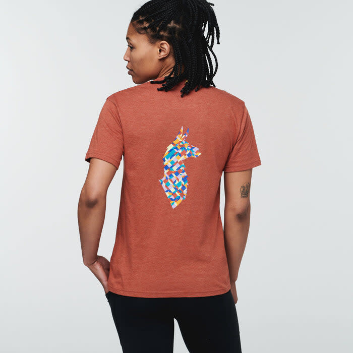 Cotopaxi Llama Lover T- Shirt
