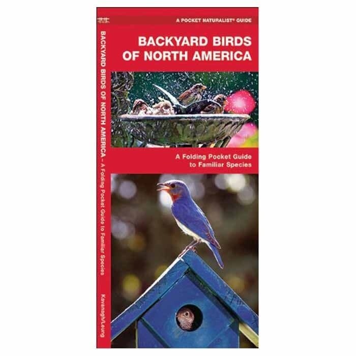 Backyard Birds of North America by James Kavanagh