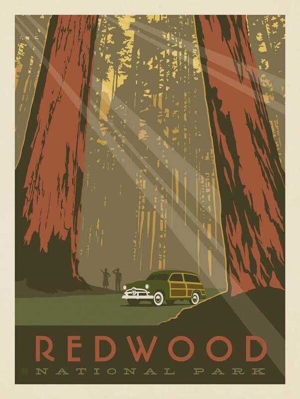 Americanflat - National Park Vintage Poster, Redwood