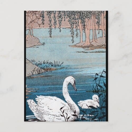 Elegant White Swan with Baby Postcard