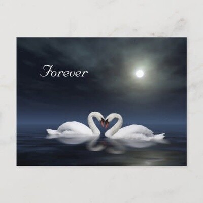 Loving Swans - Forever Postcard