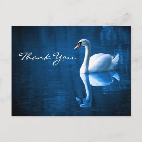 White Swan on Blue Waters - Thank You Postcard