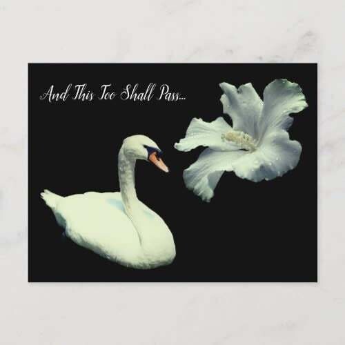 Swan Inspirational - This Too Shall Pass Post Card
