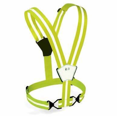 Amphipod - Xinglet Illume, Silver