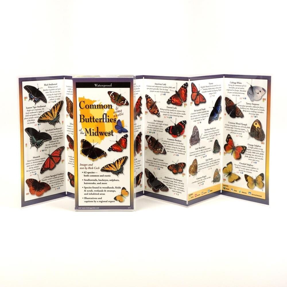 BUTTERFLIES MIDWEST GUIDE