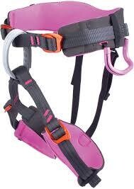 Edelweiss Sword Kids Harness Pink