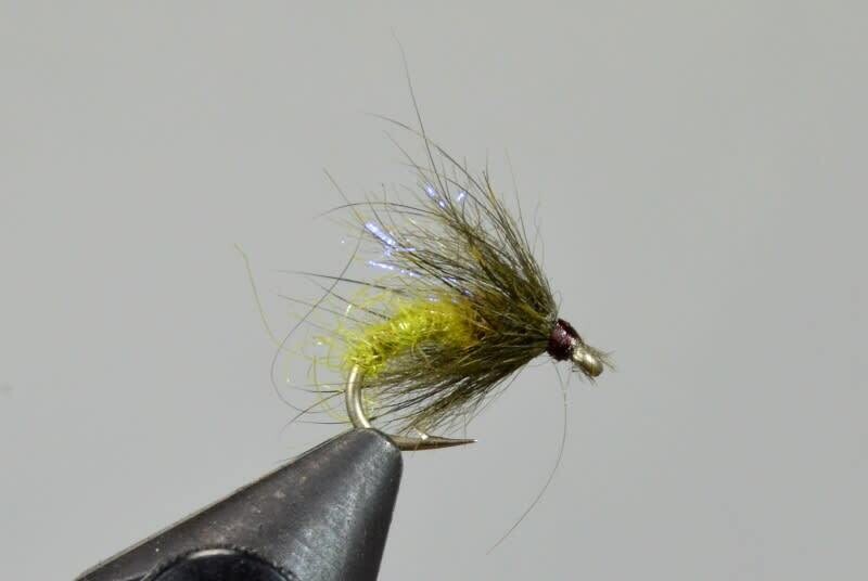 Galloup&#39;s BH UV Caddis Pupa Olive #16 (Single)