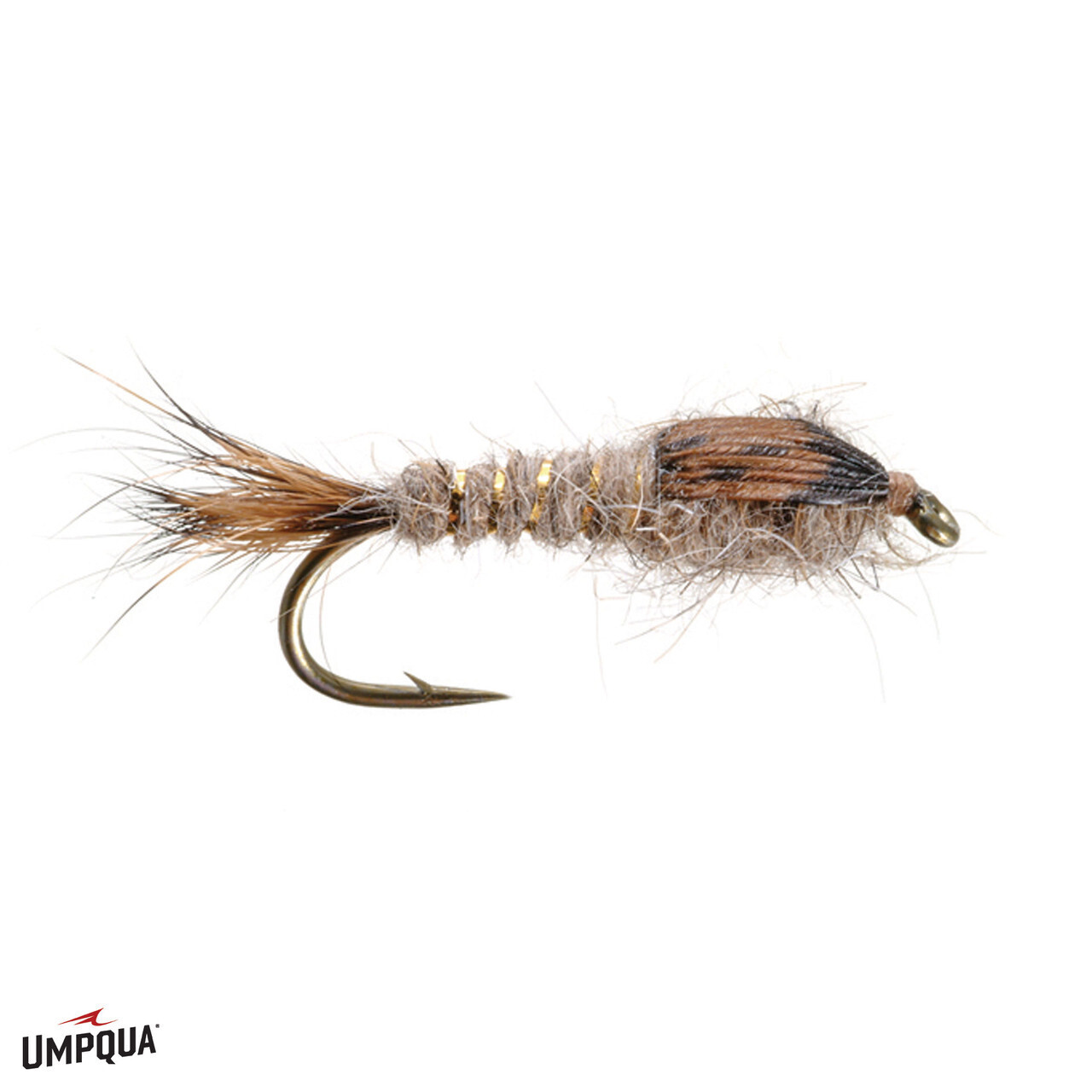 Gold Ribbed Hare&#39;s Ear #20